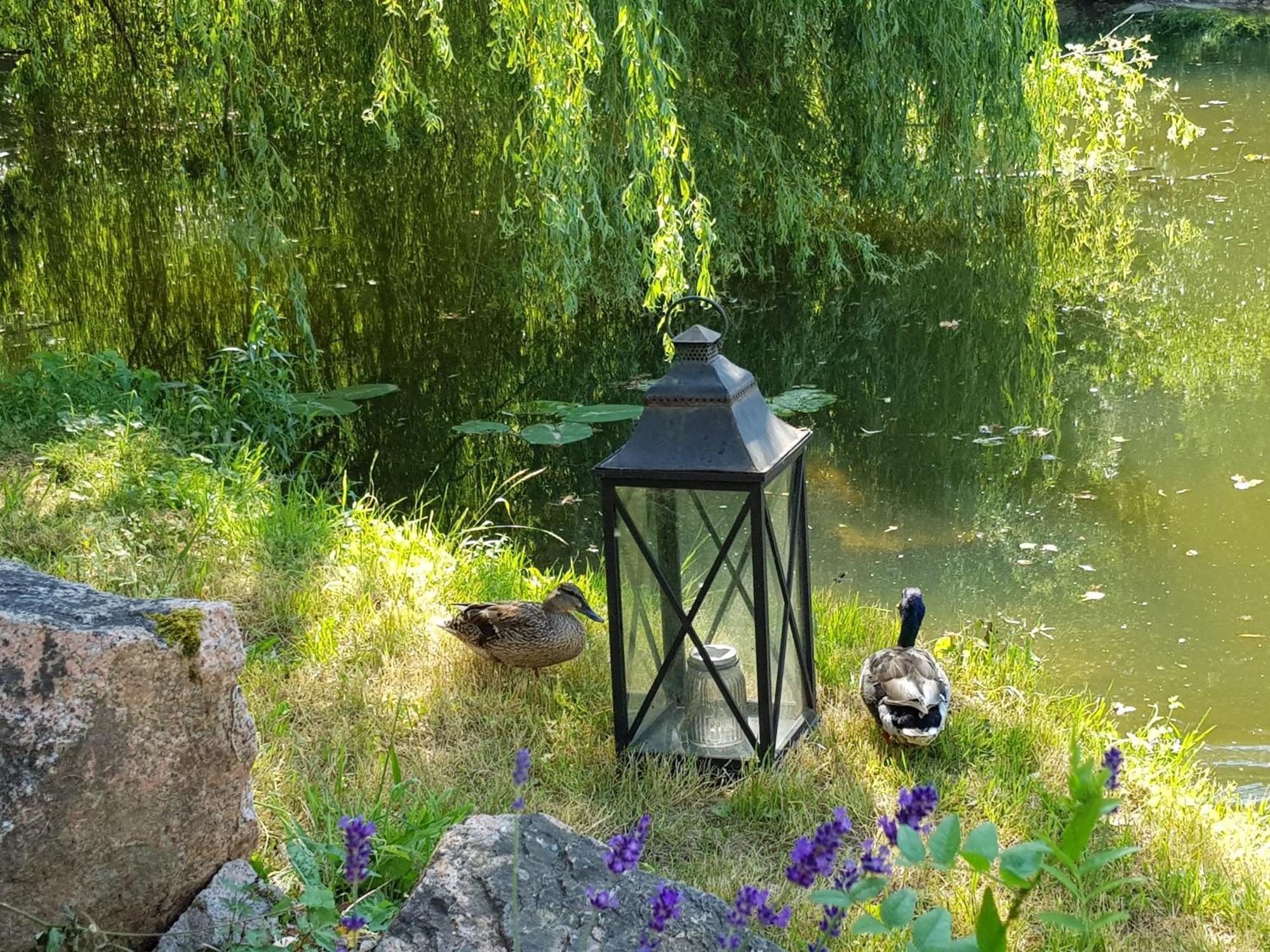 Le Moulin De L'o-l'orle Nature Formule 4 Personnes Semur-en-Auxois
